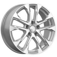 ����� ���� ������ ����� ������