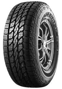 ���� Rapid Ecolander